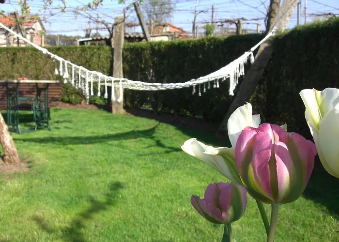 Casa De Marcelo Kır Evi Padrón