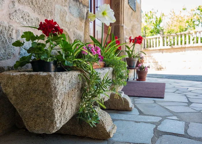 Casa De Marcelo Kır Evi