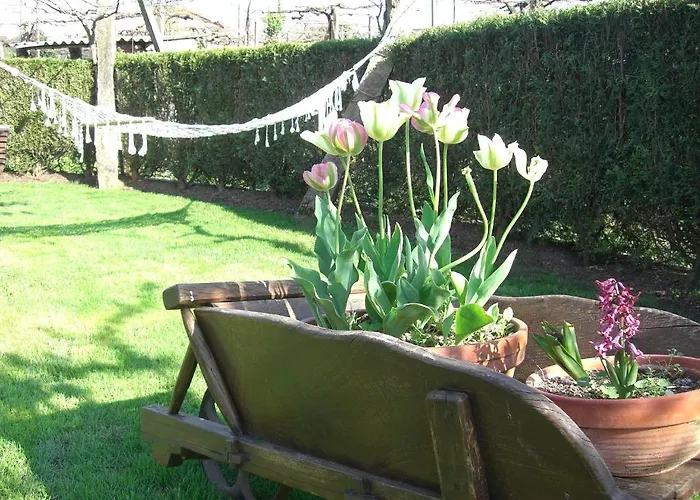 Casa De Marcelo Padrón