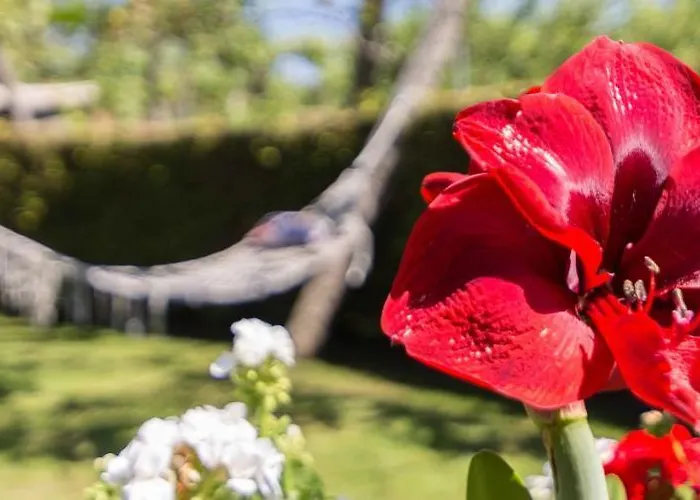 Casa De Marcelo * Padrón